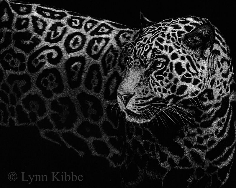 Lynn Kibbe2